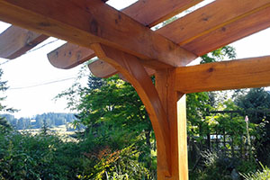 Timber Frame Pergola